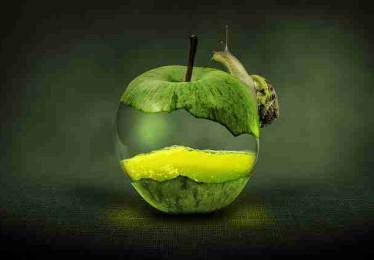 每日大赛——彩蛋解构流量密码深读