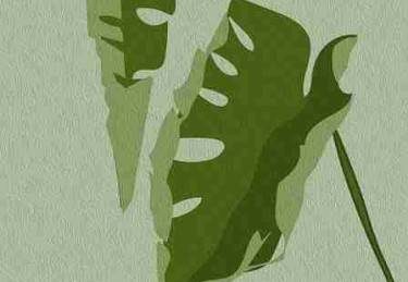 粉丝经济！51漫画高手秘籍独门心法