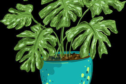 商业模式《每日大赛黑料》盈利路径深读