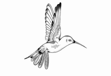 技术风控！鉴黄师电脑版运营秘籍实战分享