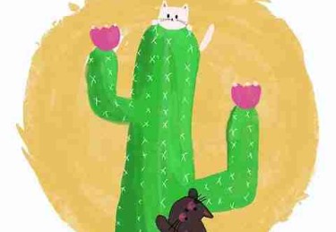 P站热门盘点：算法逻辑风险提示