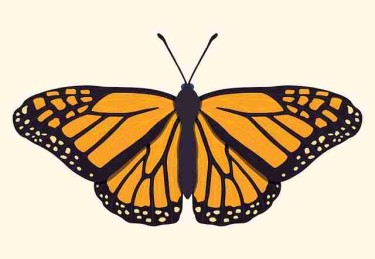 51爆料跨年盘点：年度最离谱爆料排行榜