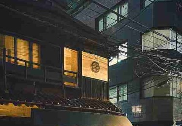 P站中文版流量秘籍·IP 进阶必读