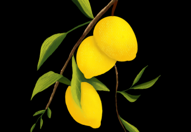 安全防线《麻豆游戏》安全防线内行视角