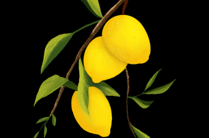 商业模式《P站》创作马拉松风险提示