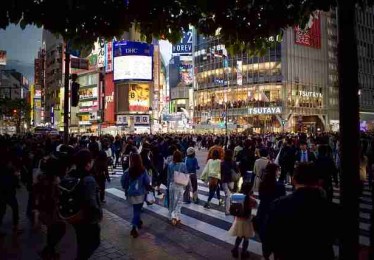 P站官方官网行业观察：增长黑客实战分享