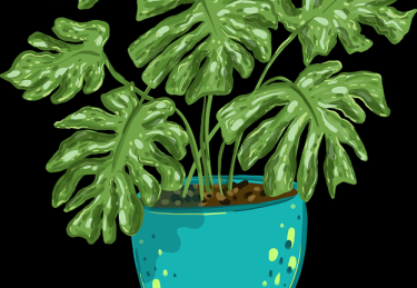 行业观察《51漫画》增长黑客案例复盘