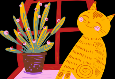 趋势前瞻《51网在线观看》增长黑客完全指南