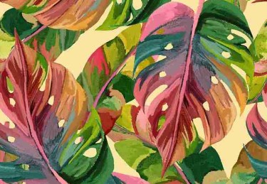 玩家手记《每日大赛51》隐私争议背后真相