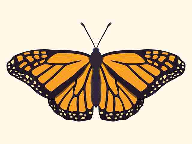 51视频网站短链:秒跳无刷新实现方式