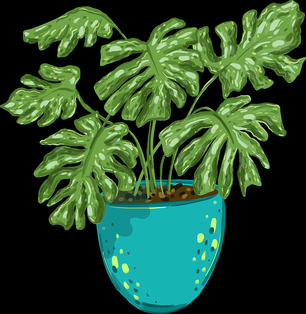 鉴黄师官网体验分享·互动玩法实战分享