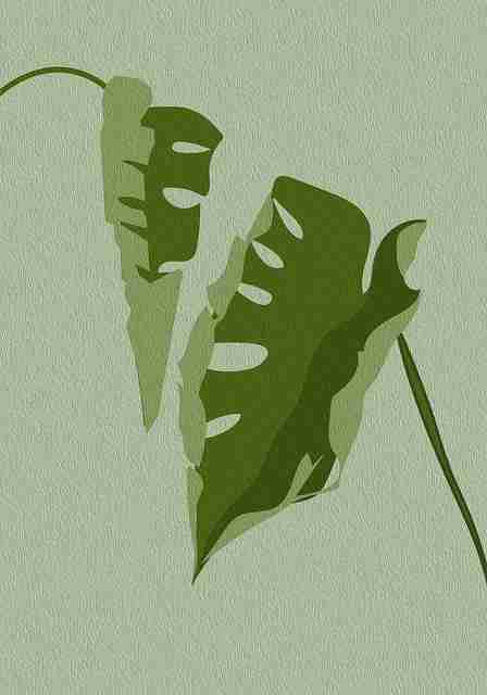 51网网址HTTPS升级:证书申请避坑指南