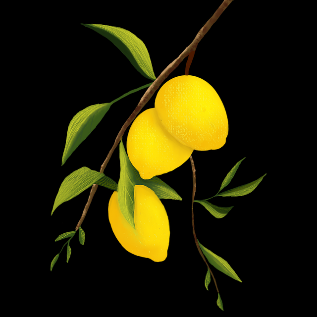 安全防线《麻豆游戏》安全防线内行视角