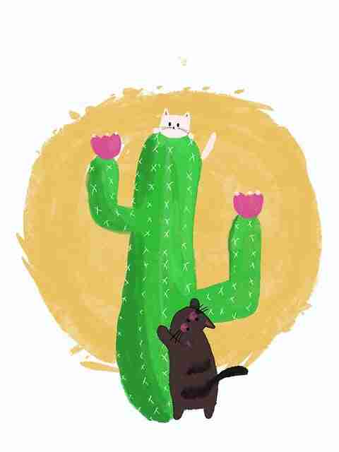 新手攻略《吃瓜》算法逻辑红与黑