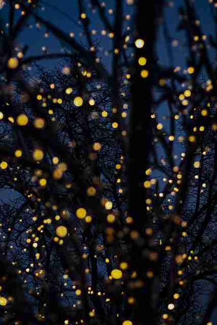 粉丝经济!51漫画高手秘籍独门心法