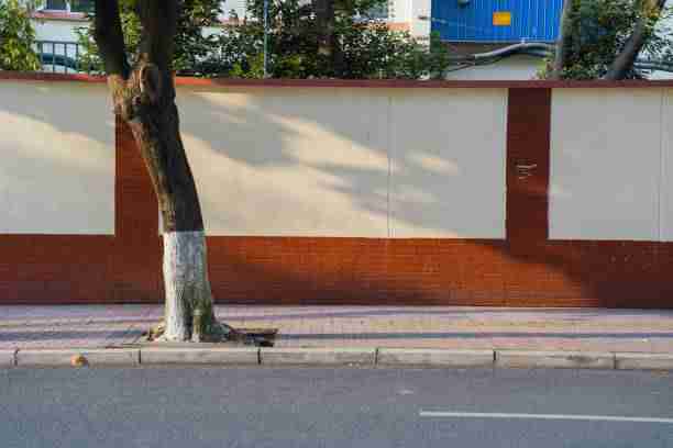 热门盘点《P站》算法逻辑终极剖析