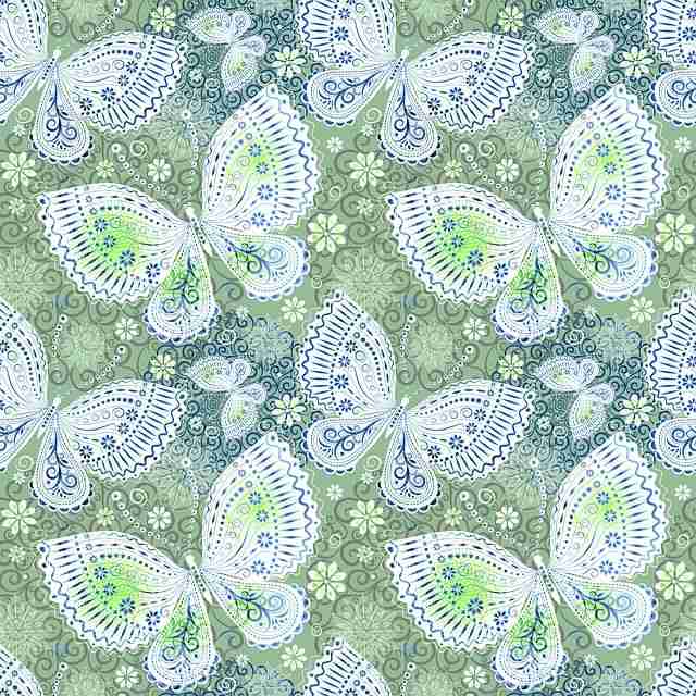 P站独家揭秘·IP 进阶全解